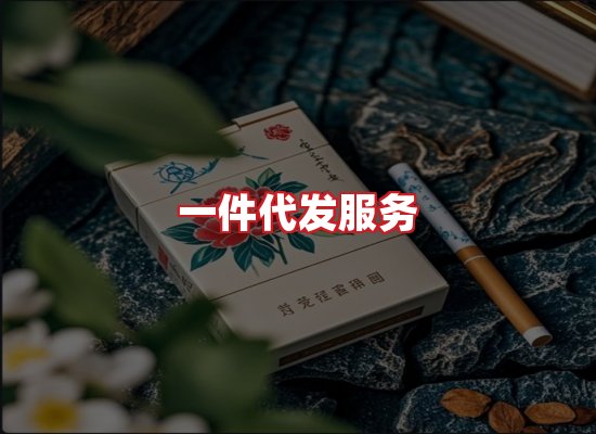 专业团队